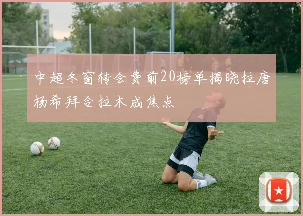 中超冬窗转会费前20榜单揭晓拉唐杨希拜合拉木成焦点