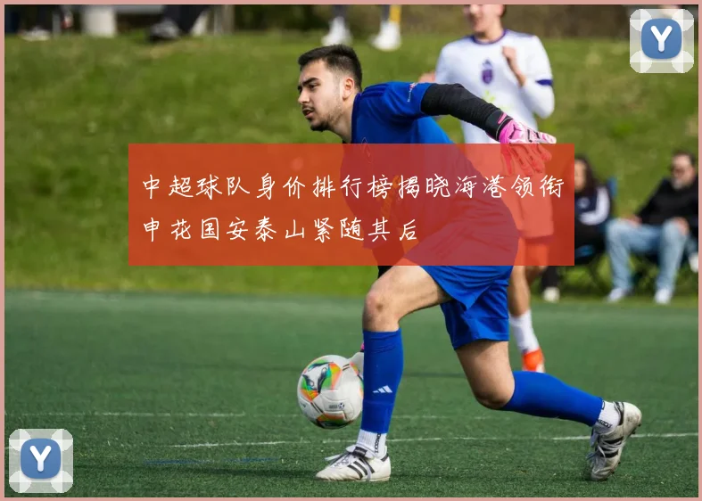 中超球队身价排行榜揭晓海港领衔申花国安泰山紧随其后