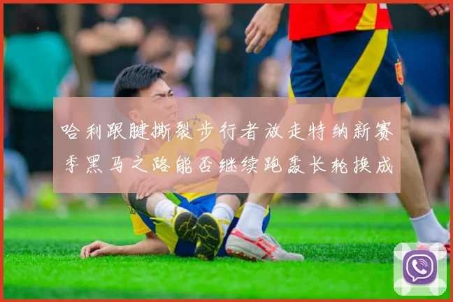 哈利跟腱撕裂步行者放走特纳新赛季黑马之路能否继续跑轰长轮换成关键